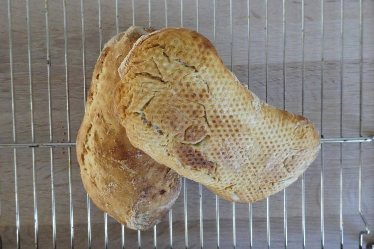 æltefrie brød